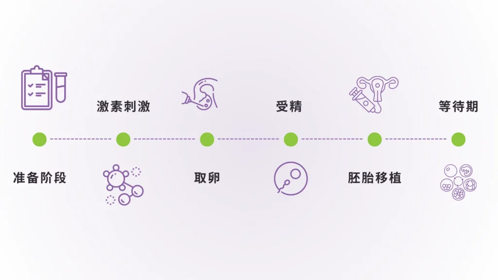 ivf procedure timeline